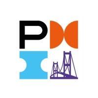 pmi turkey chapter logo image