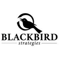 blackbird strategies logo image