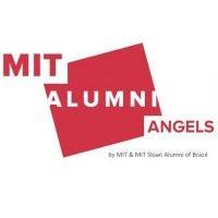 mit alumni angels of brazil logo image