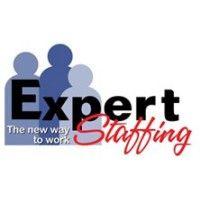 expert staffing partners inc. logo image