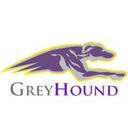 logo of Sls Greyhound Ltd