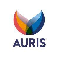 koninklijke auris groep logo image