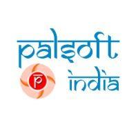 palsoft india