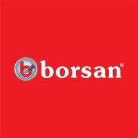 borsan a.s. logo image