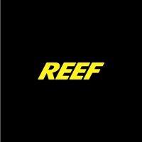 reef design logo image