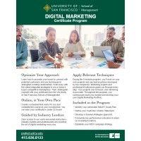 digital marketing at usf