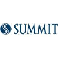 summit security services, inc. logo image