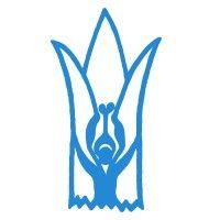 vigyan ashram logo image