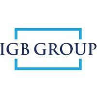 igb group logo image