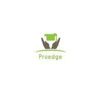 proedge consulting & training  llp logo image