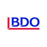 bdo zambia limited logo image