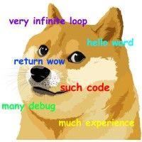 dogesoft logo image