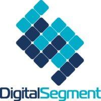 digital segment, llc logo image