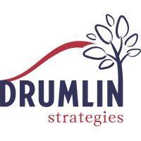 drumlin strategies, llc logo image