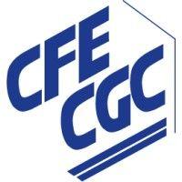 cfe-cgc thales services numériques logo image