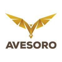 avesoro logo image