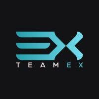 teamex logo image