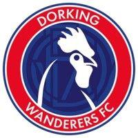 dorking wanderers fc logo image