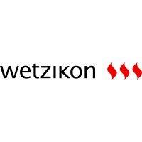 stadt wetzikon logo image