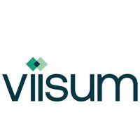 viisum chartered accountants logo image