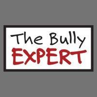 the bully expert (youth anti-bullying professional training and certification program) logo image