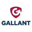 logo of Gallant