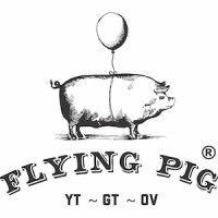 the flying pig logo image