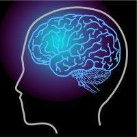 brainmind logo image