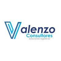 valenzo consultores logo image