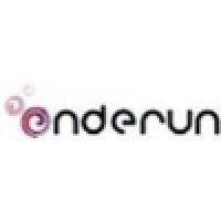 enderun information technologies logo image