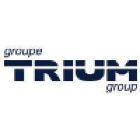 trium group logo image