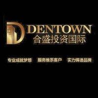 dentown合盛投资国际 logo image