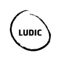 ludic consulting logo image