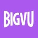 logo of Bigvu