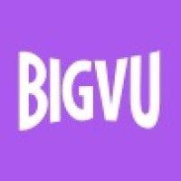 bigvu logo image