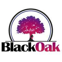 blackoak collective logo image