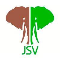 jumbo super veneer (jsv) logo image