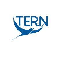 tern - the entrepreneurial refugee network logo image