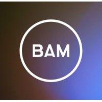 bam strategy logo image