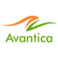 avantica s.r.o. logo image