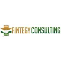 fintegy consulting, llc logo image