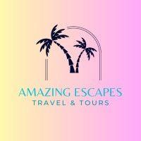 amazing escapes travel and tours logo image