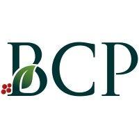 bayberry capital partners lp logo image