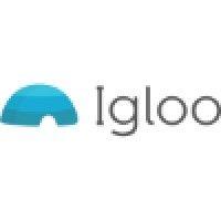 igloo global