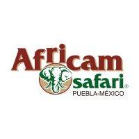 africam safari