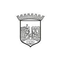 trondheim kommune logo image