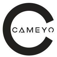 cameyo logo image