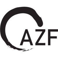 azf strategic consulting