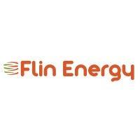 flin energy (flin technologies private limited) logo image