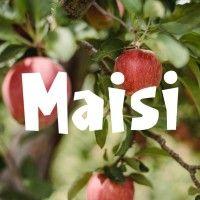 maisi • მაისი logo image